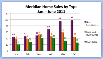 Meridian Idaho Home Sales by Type | Jan.-June 2011